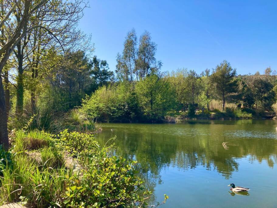 Les Restanques Maison 14 Chenes Grimaud Exteriér fotografie