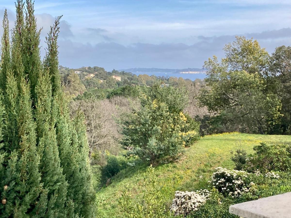 Les Restanques Maison 14 Chenes Grimaud Exteriér fotografie